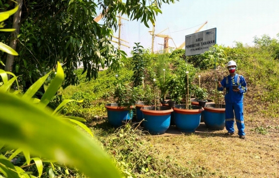 Keren! Menuju Green Industry, PT PAL Indonesia (Persero), Sulap Lahan Tandus menjadi Lahan dengan Lahan Hijau dan Asri