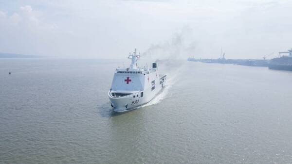 Landing Platform Dock Hospital (BRS) - Image 3
